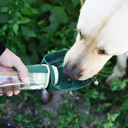 TreatLeaf 2-in-1 Hydration Bottle